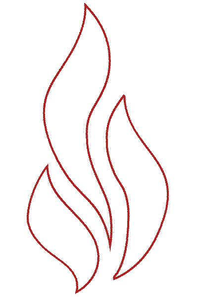FireGold - Lubomír Celar